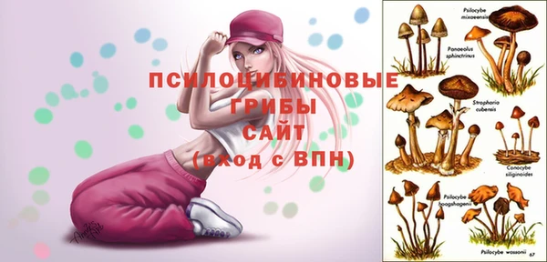 стаф Верхний Тагил